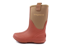 Bisgaard